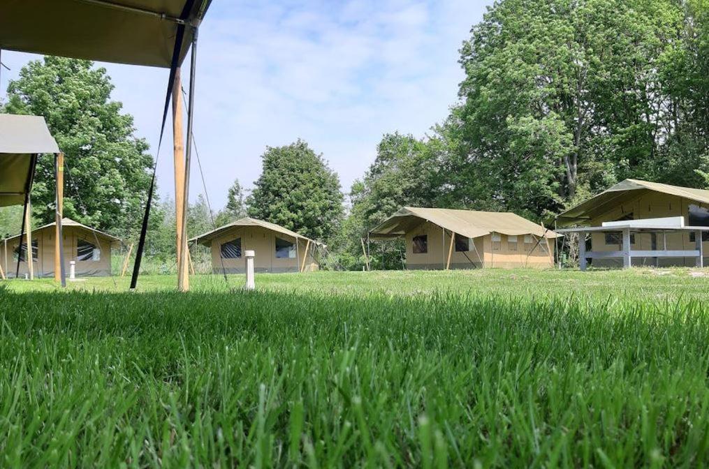 Easyatent Safari Tent Lanterna 카르바포랏 객실 사진